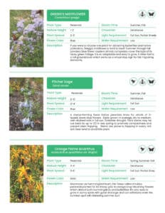 10 Texas Plants that Pollinators Love | Rooted In