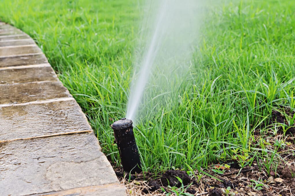 sprinkler watering grass