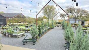 North Texas fall planting display with Texas-tough perennials and shrubs at Rooted In